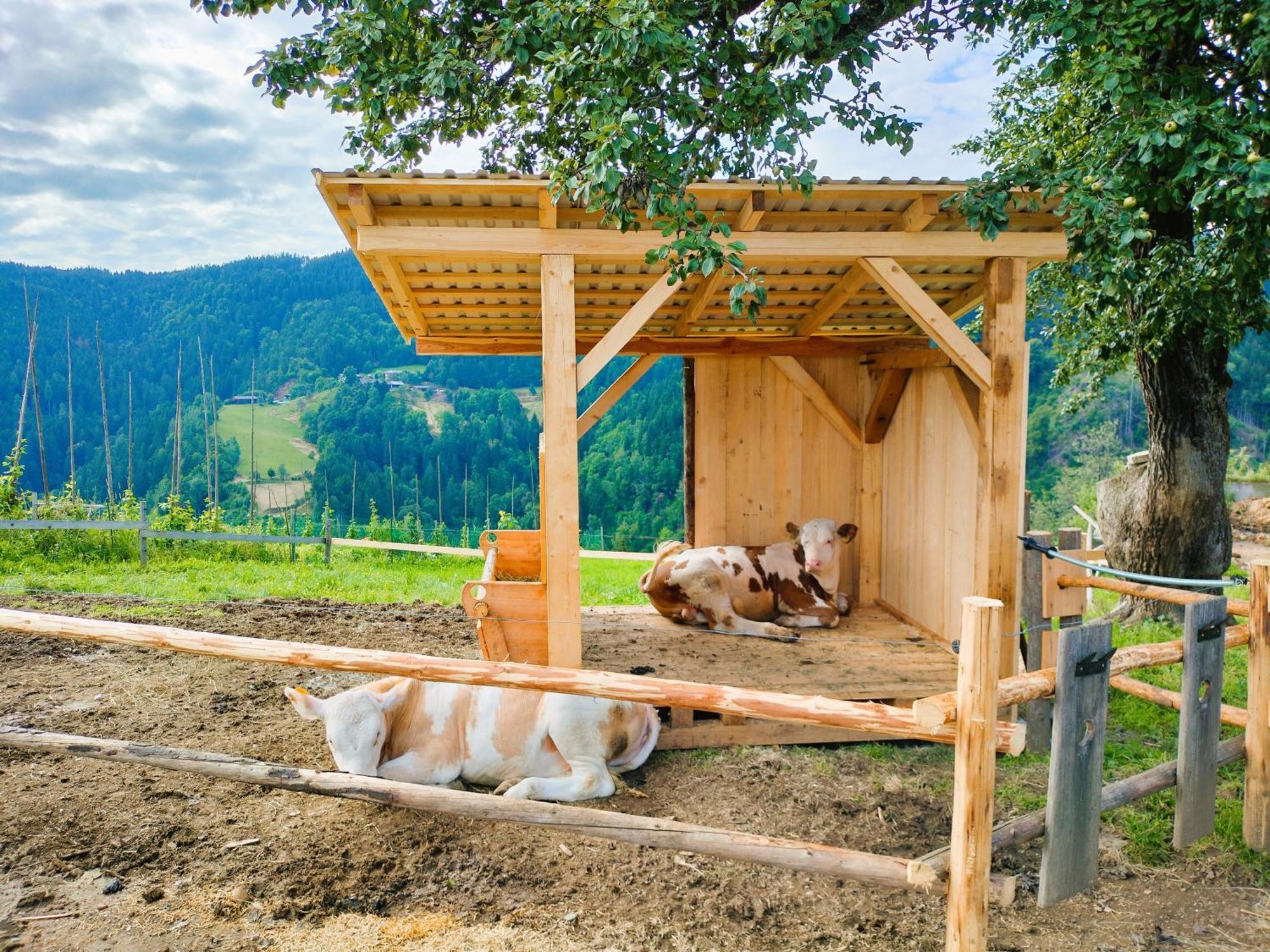 Apartments Organic Tourist Farm Gradišnik Prevalje Exterior foto