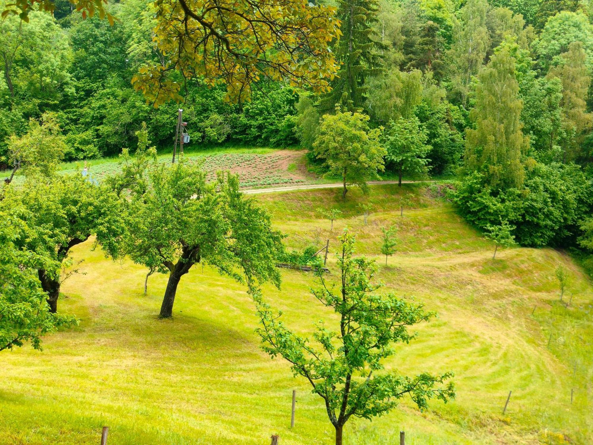 Apartments Organic Tourist Farm Gradišnik Prevalje Exterior foto