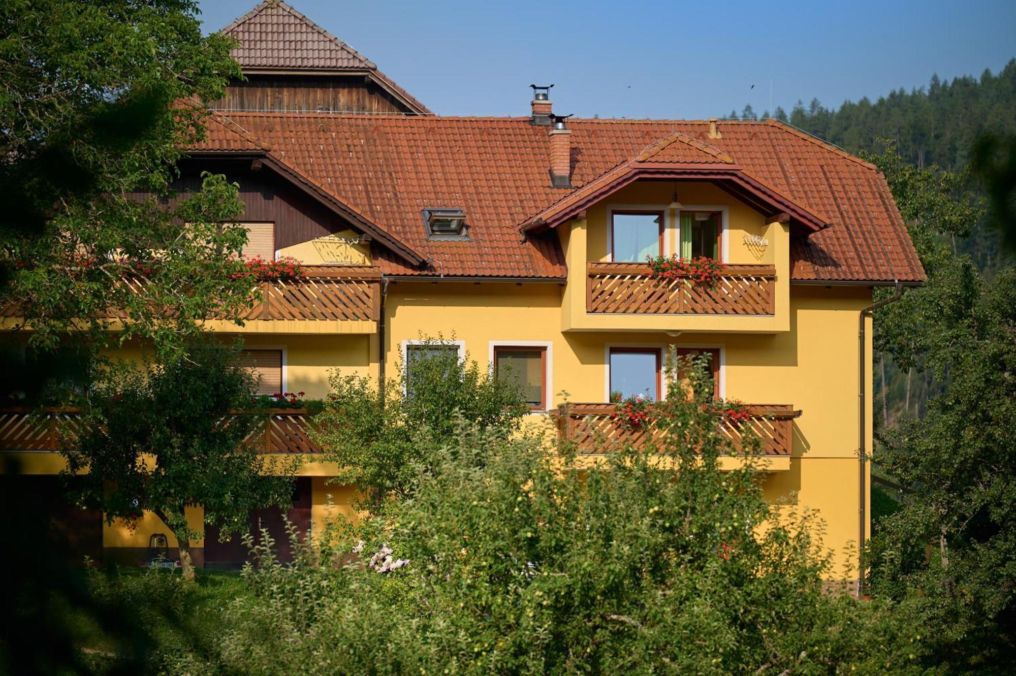 Apartments Organic Tourist Farm Gradišnik Prevalje Exterior foto