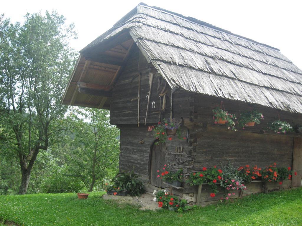 Apartments Organic Tourist Farm Gradišnik Prevalje Exterior foto